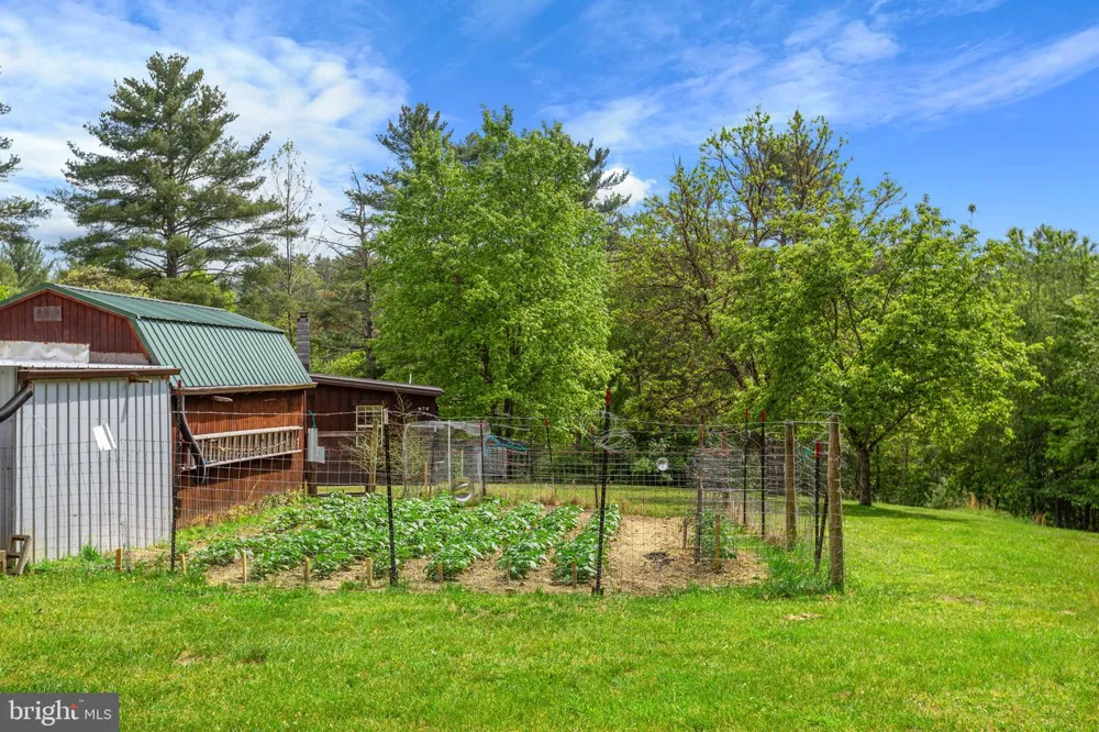 21117 MINE MOUNTAIN Bergton, VA 22811