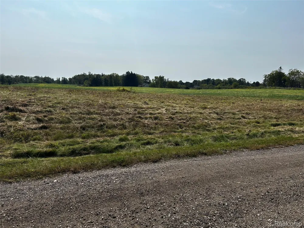 Hacker Road Hartland Township, MI 48843