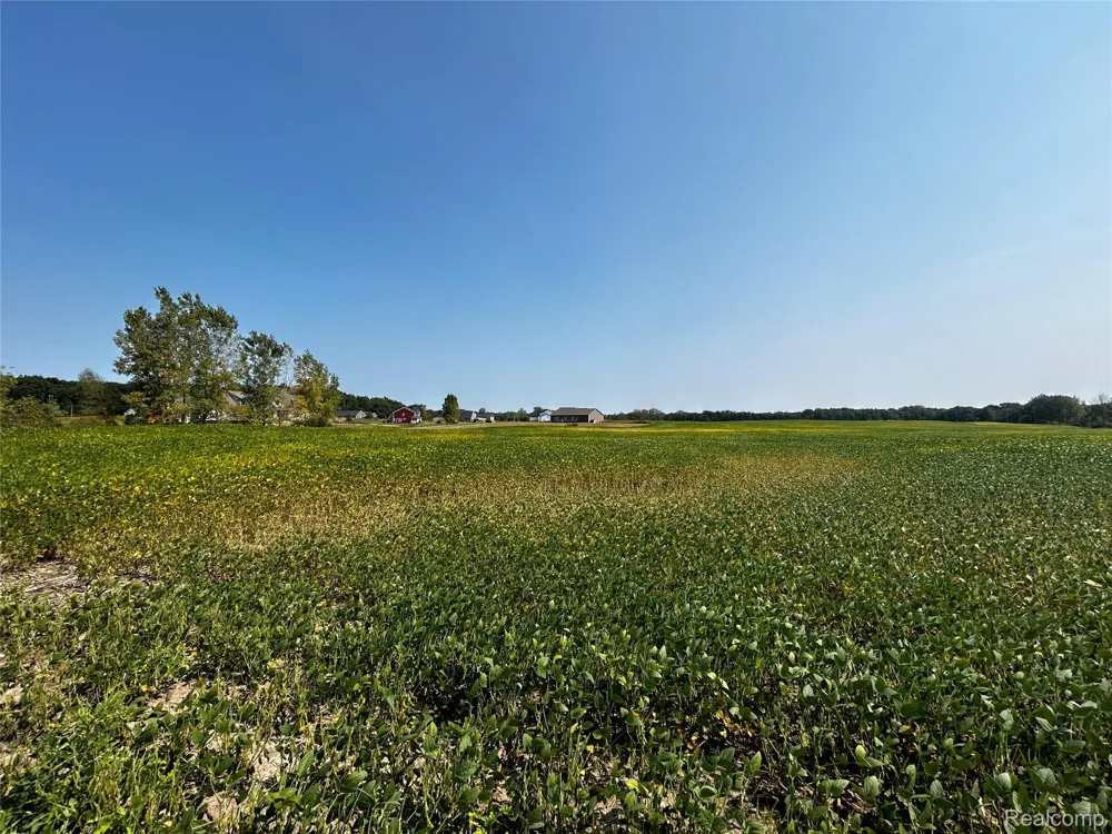 Hacker Road Hartland Township, MI 48843