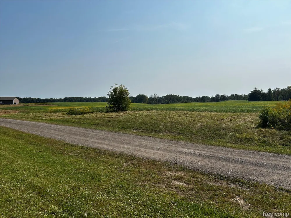 Hacker Road Hartland Township, MI 48843