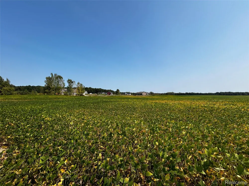 Hacker Road Hartland Township, MI 48843
