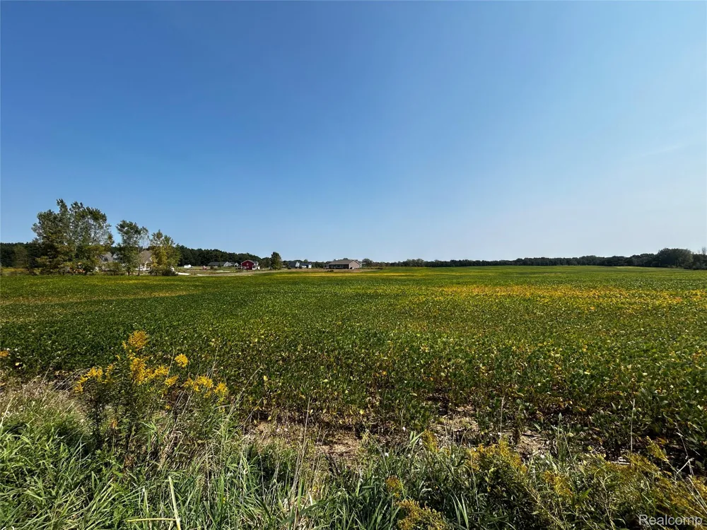Hacker Road Hartland Township, MI 48843
