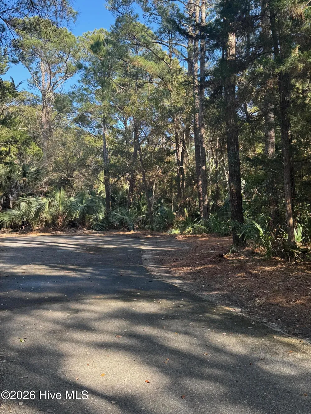 5 Gray Fox Court Bald Head Island, NC 28461