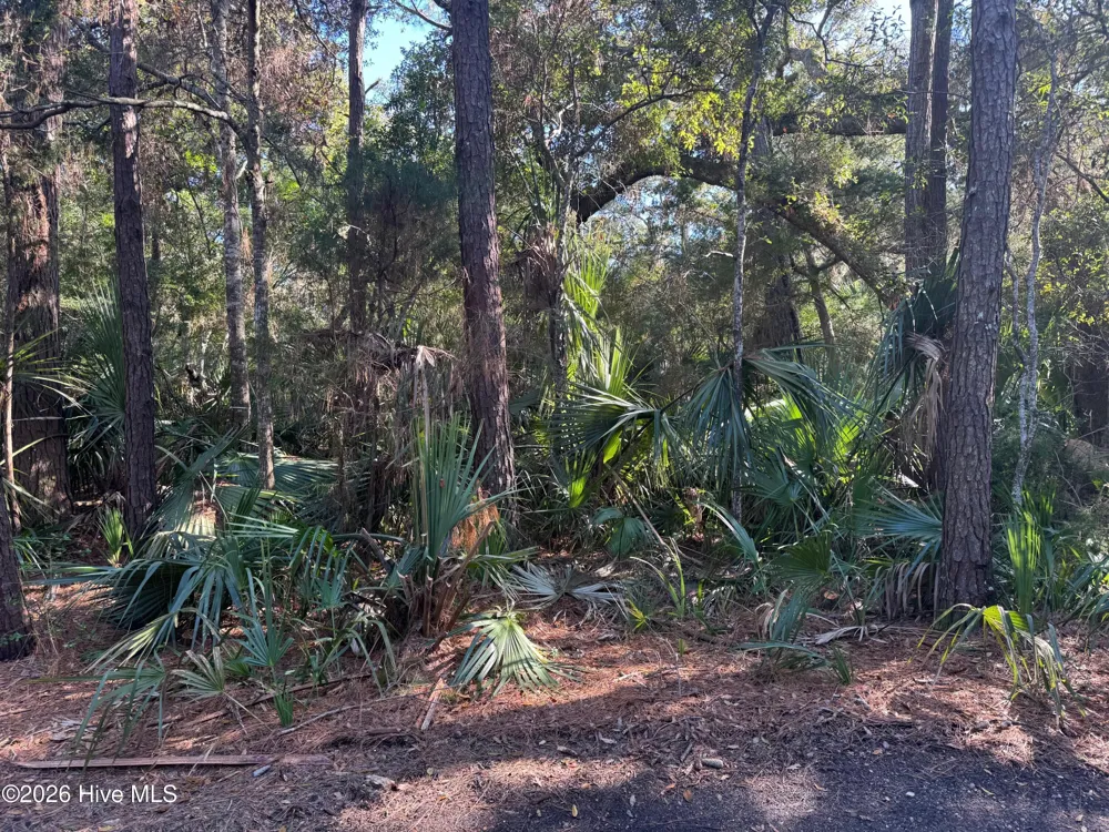 5 Gray Fox Court Bald Head Island, NC 28461