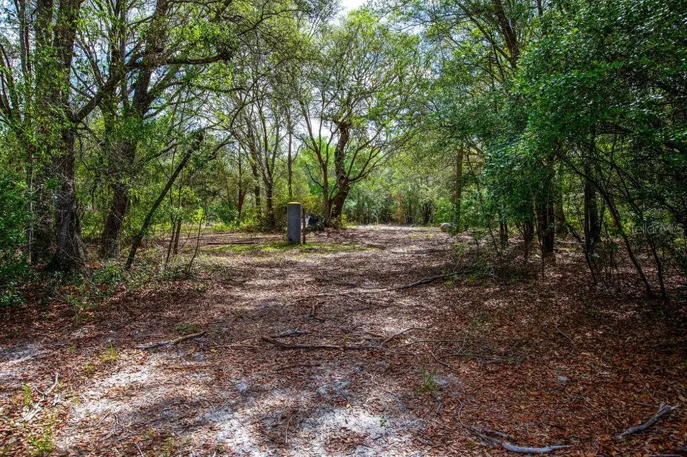5350 SE 3RD LANE Trenton, FL 32693