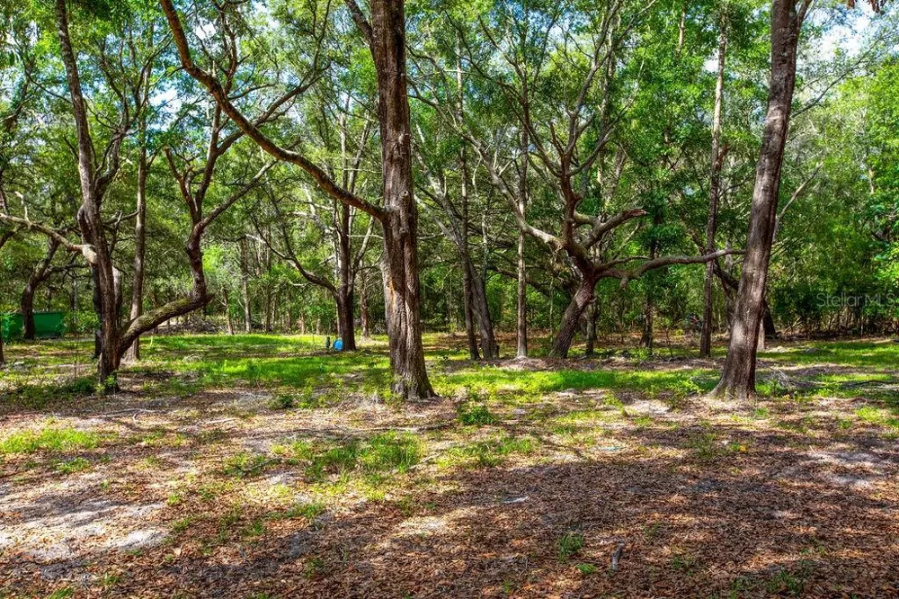 5350 SE 3RD LANE Trenton, FL 32693
