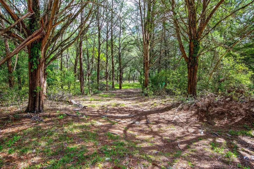 5350 SE 3RD LANE Trenton, FL 32693