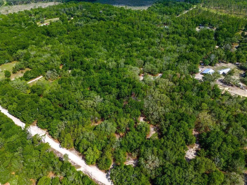 5350 SE 3RD LANE Trenton, FL 32693