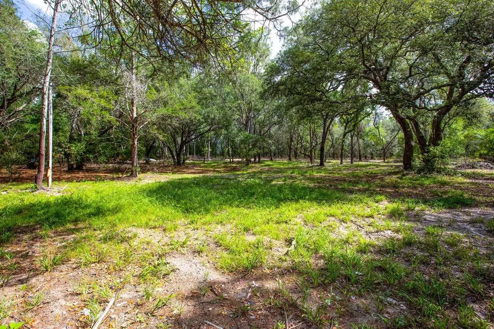5350 SE 3RD LANE Trenton, FL 32693