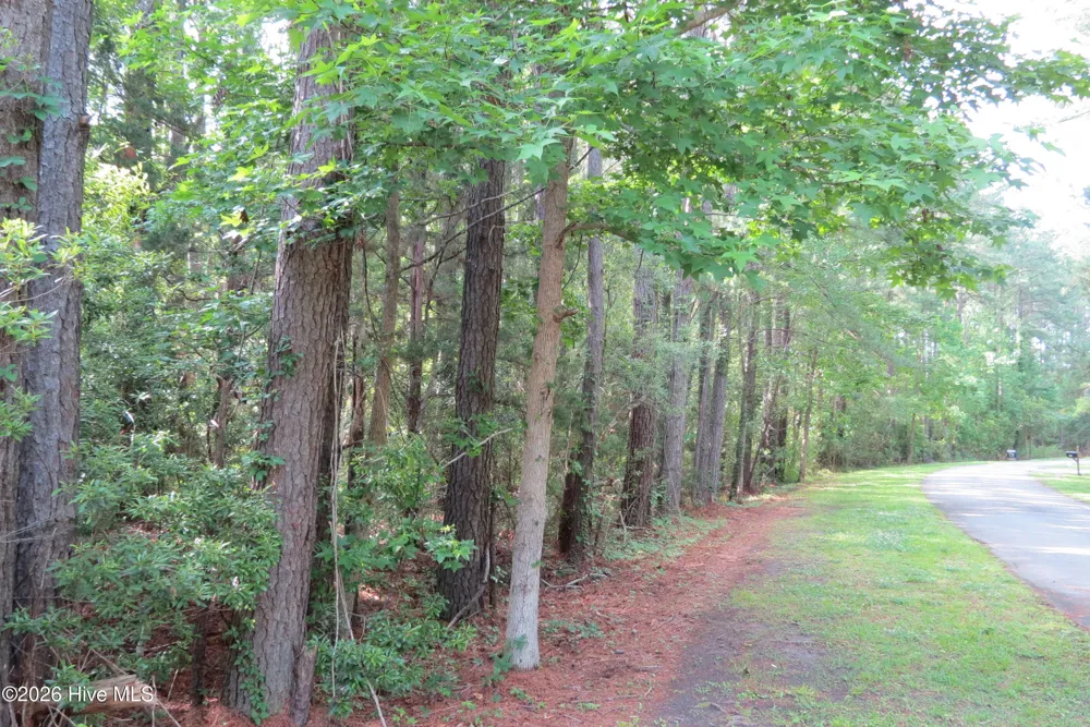 0 Teal Road Merritt, NC 28556