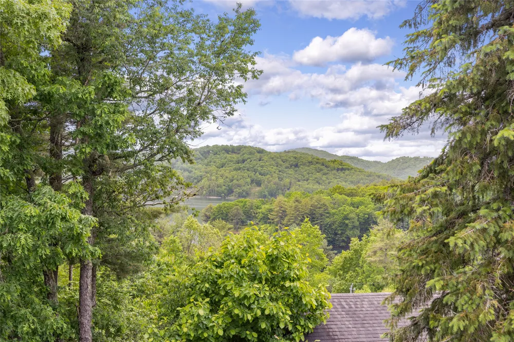 36 Heavens Gate Lane Glenville, NC 28736