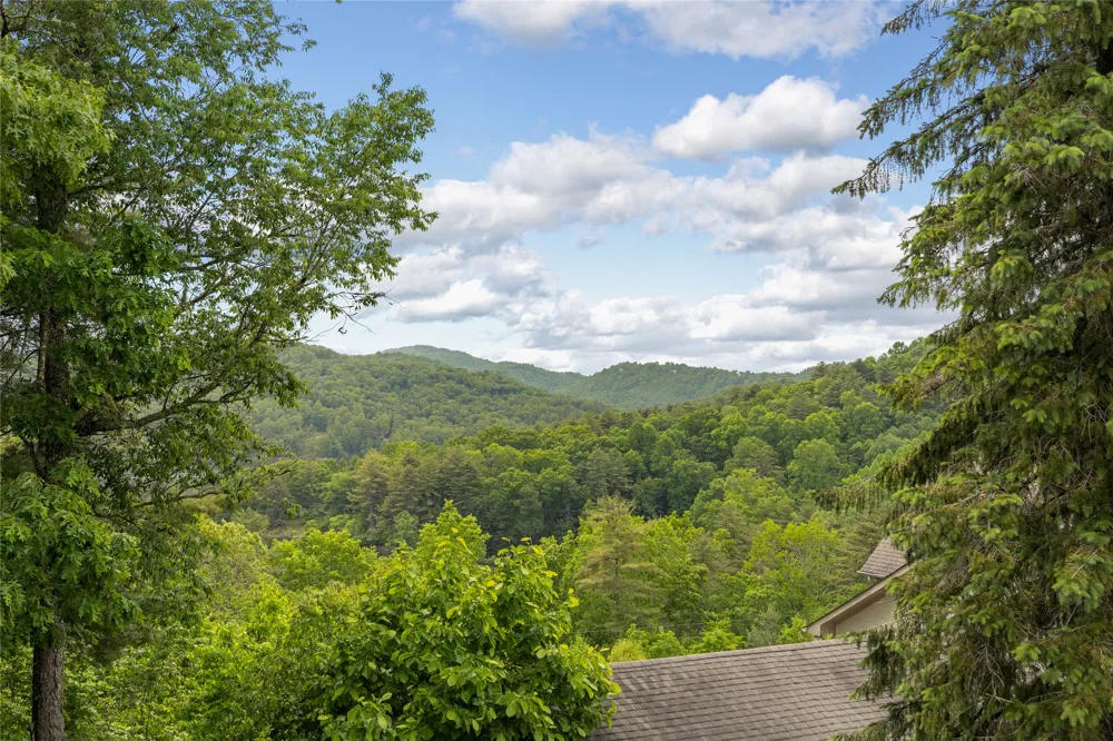 36 Heavens Gate Lane Glenville, NC 28736