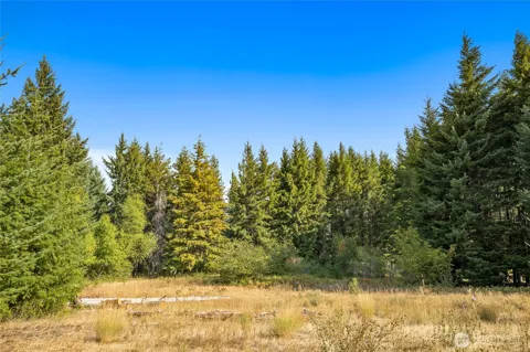 321 Goat Creek Lane