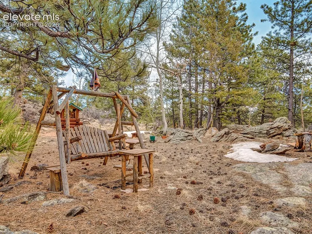 1462 Pulver Road Lake George, CO 80827