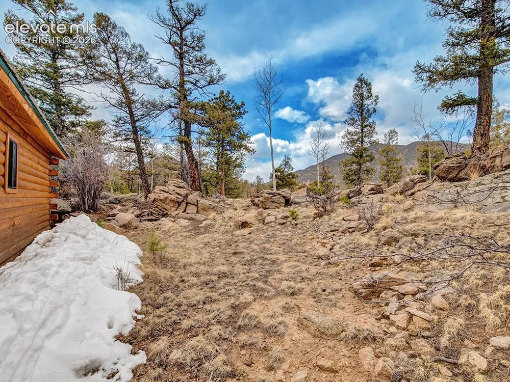 1462 Pulver Road Lake George, CO 80827