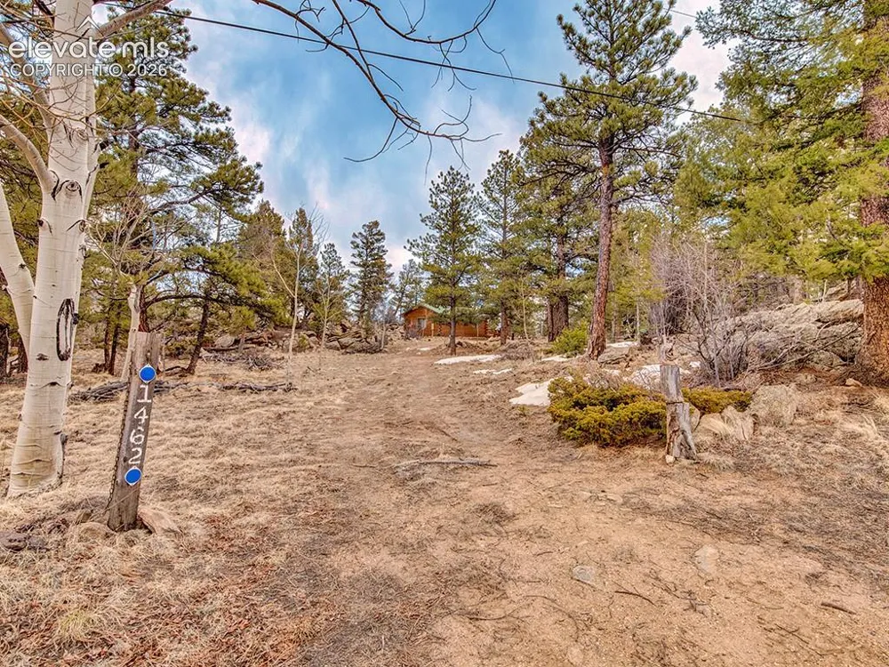1462 Pulver Road Lake George, CO 80827