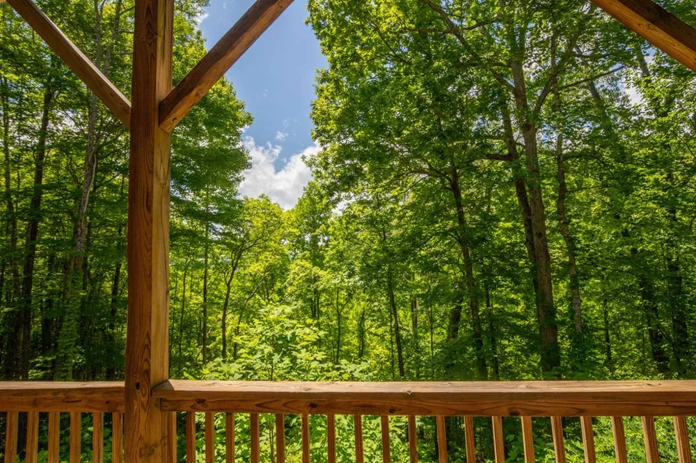 Hidden View Lane Almond, NC 28702