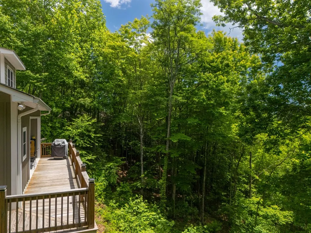 Hidden View Lane Almond, NC 28702