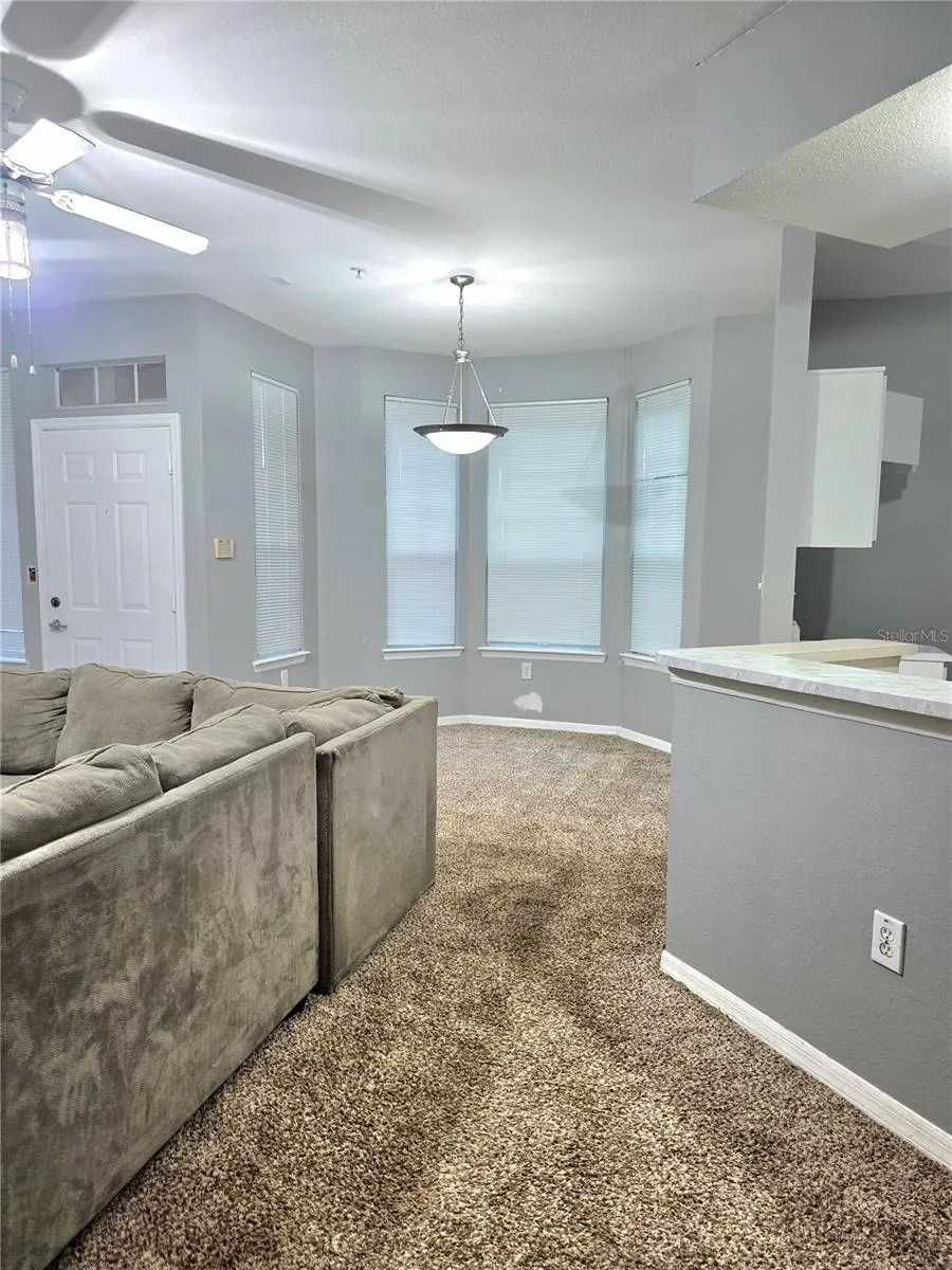 1101 VINTAGE VILLAGE LANE #110 Ocoee, FL 34761
