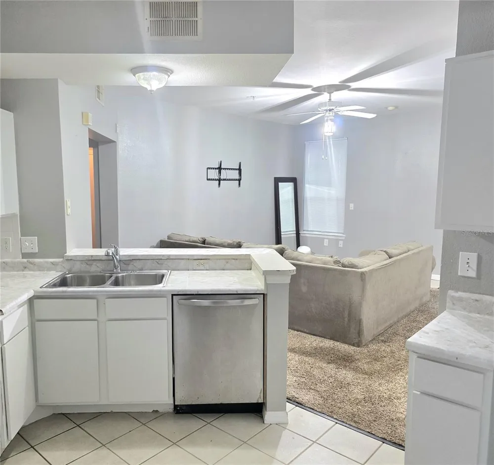 1101 VINTAGE VILLAGE LANE #110 Ocoee, FL 34761