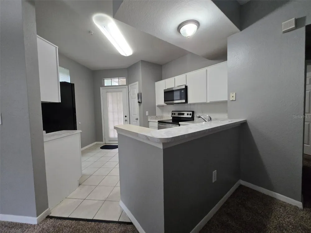 1101 VINTAGE VILLAGE LANE #110 Ocoee, FL 34761