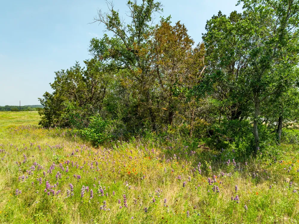 Pitchfork Ranch Road Copperas Cove, TX 76522