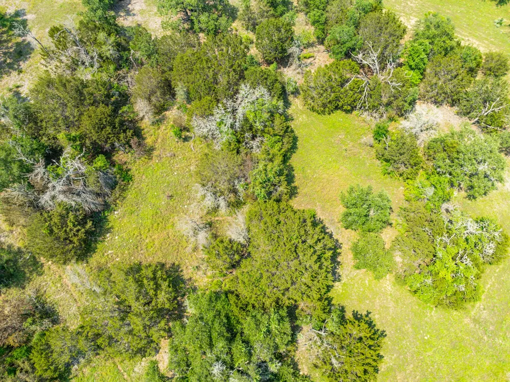 Pitchfork Ranch Road Copperas Cove, TX 76522