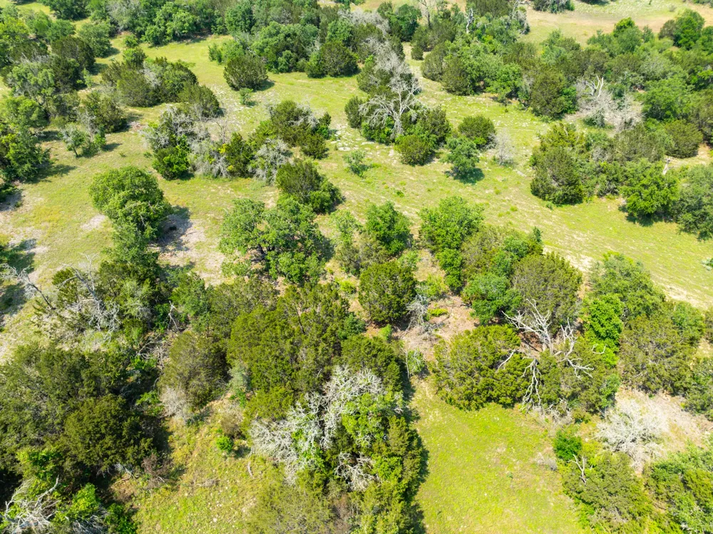 Pitchfork Ranch Road Copperas Cove, TX 76522