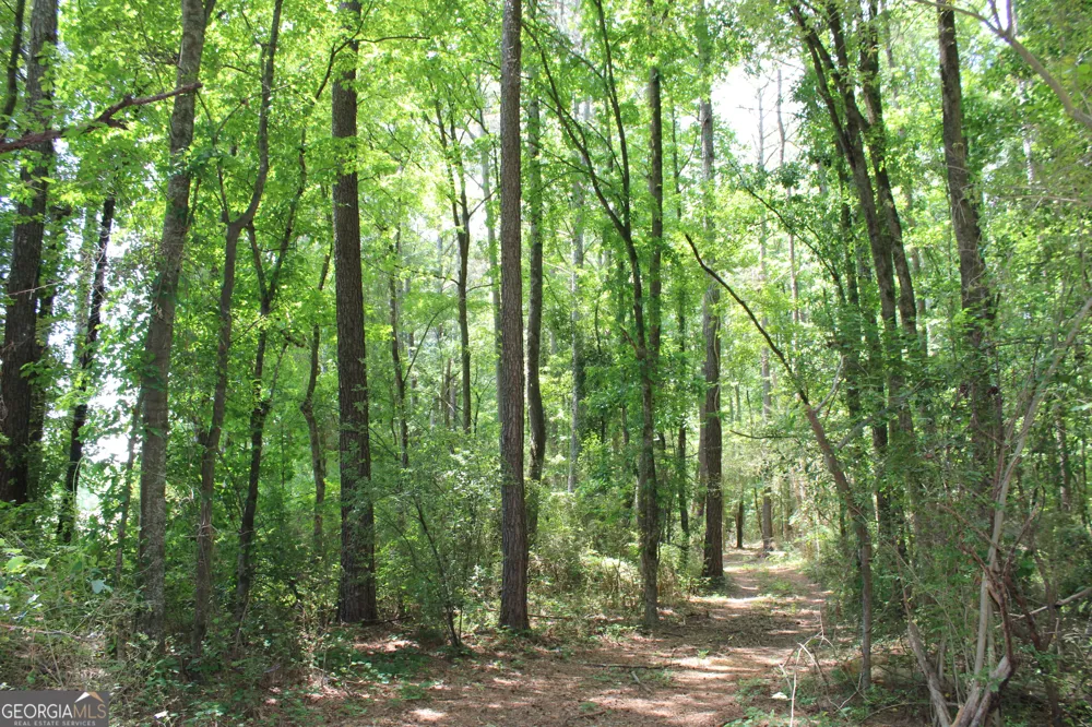 1 Neese Commerce RD Commerce, GA 30529