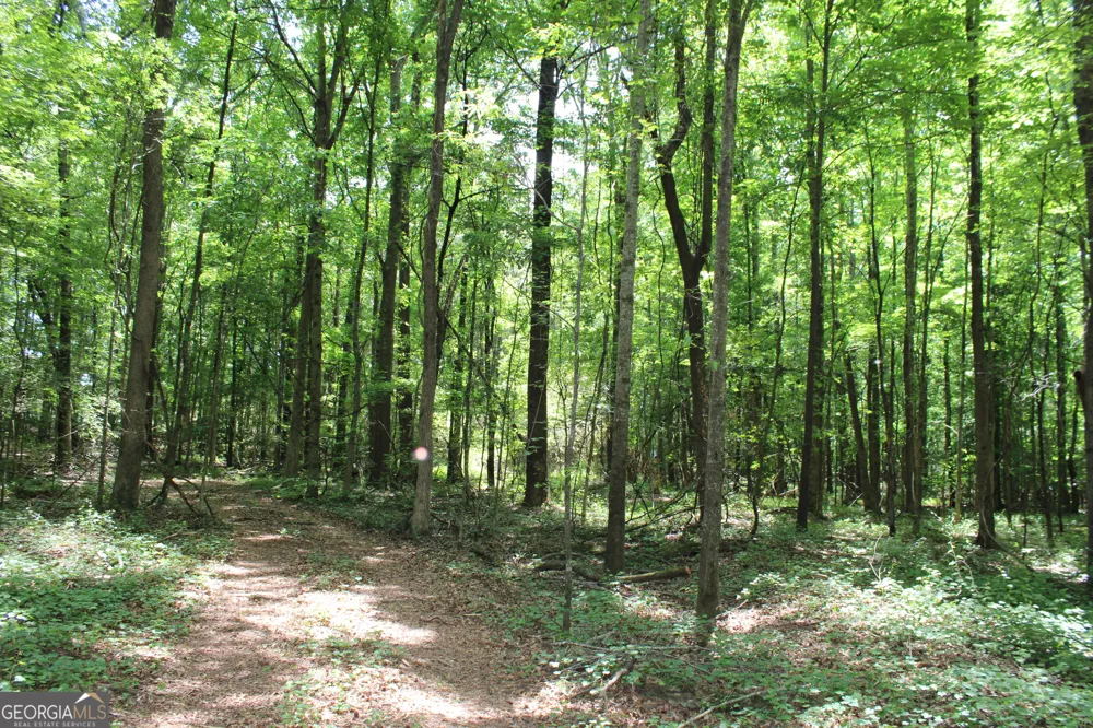 1 Neese Commerce RD Commerce, GA 30529