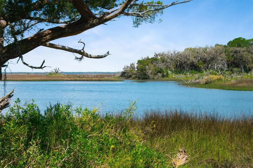 10474 SALT MARSH TRAIL Jacksonville, FL 32226