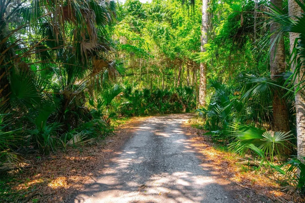 10474 SALT MARSH TRAIL Jacksonville, FL 32226