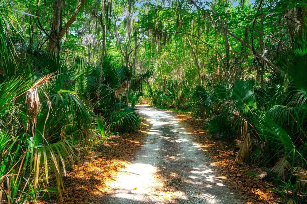 10474 SALT MARSH TRAIL Jacksonville, FL 32226