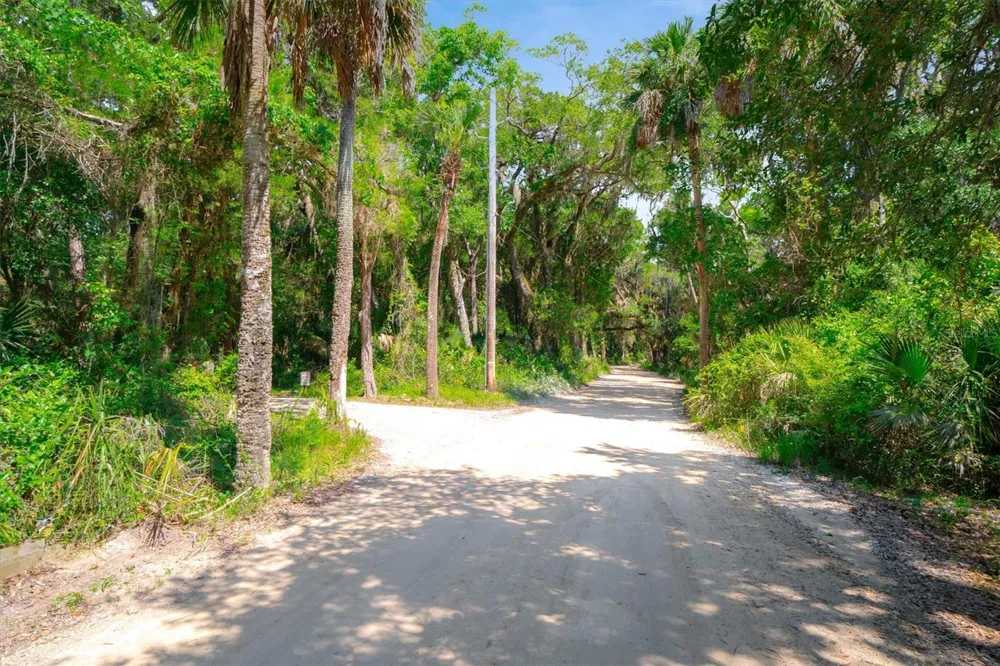 10474 SALT MARSH TRAIL Jacksonville, FL 32226