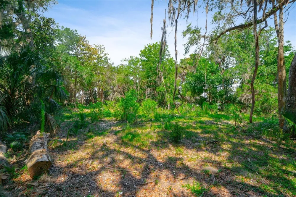 10474 SALT MARSH TRAIL Jacksonville, FL 32226