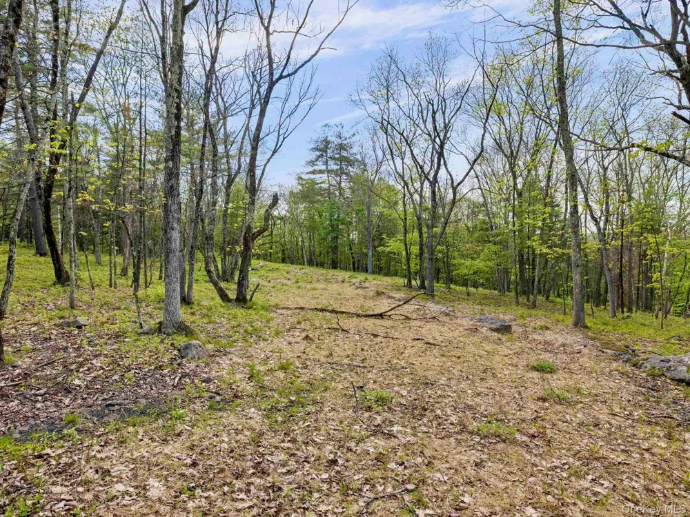 Tbd Route 44/55 Kerhonkson, NY 12446