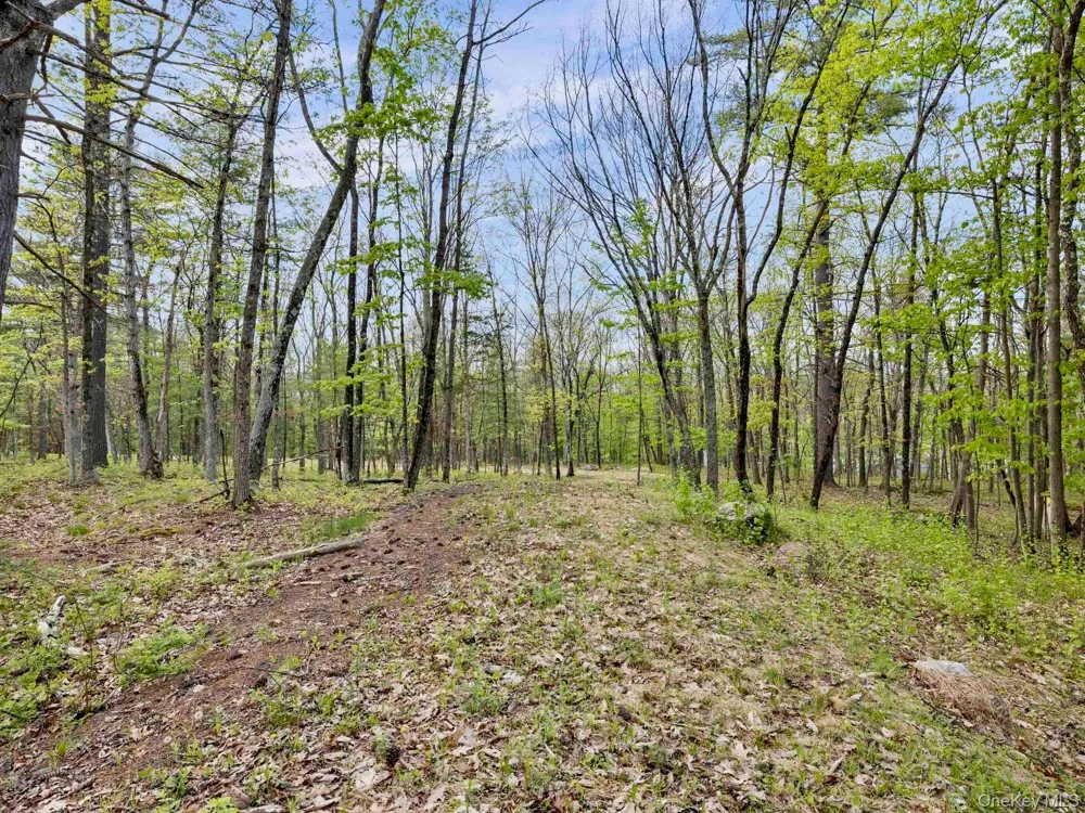 Tbd Route 44/55 Kerhonkson, NY 12446