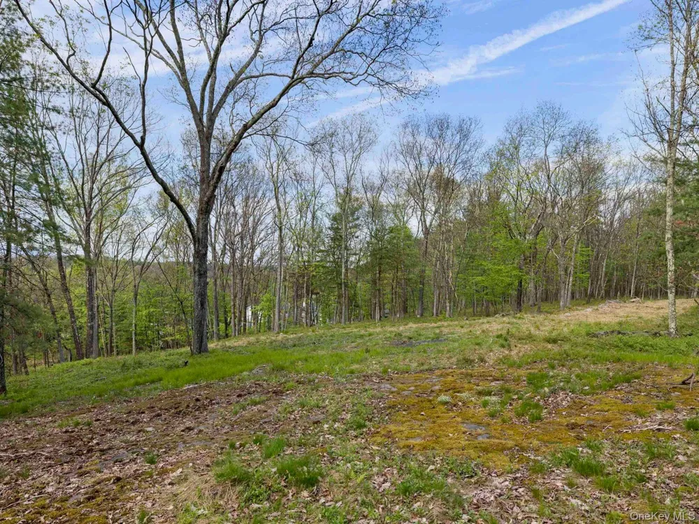 Tbd Route 44/55 Kerhonkson, NY 12446