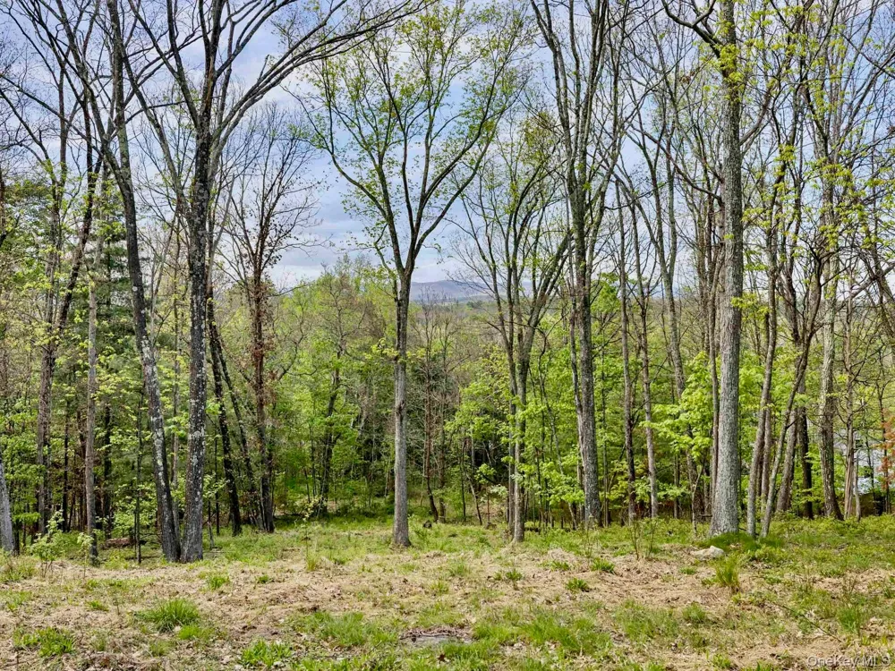 Tbd Route 44/55 Kerhonkson, NY 12446
