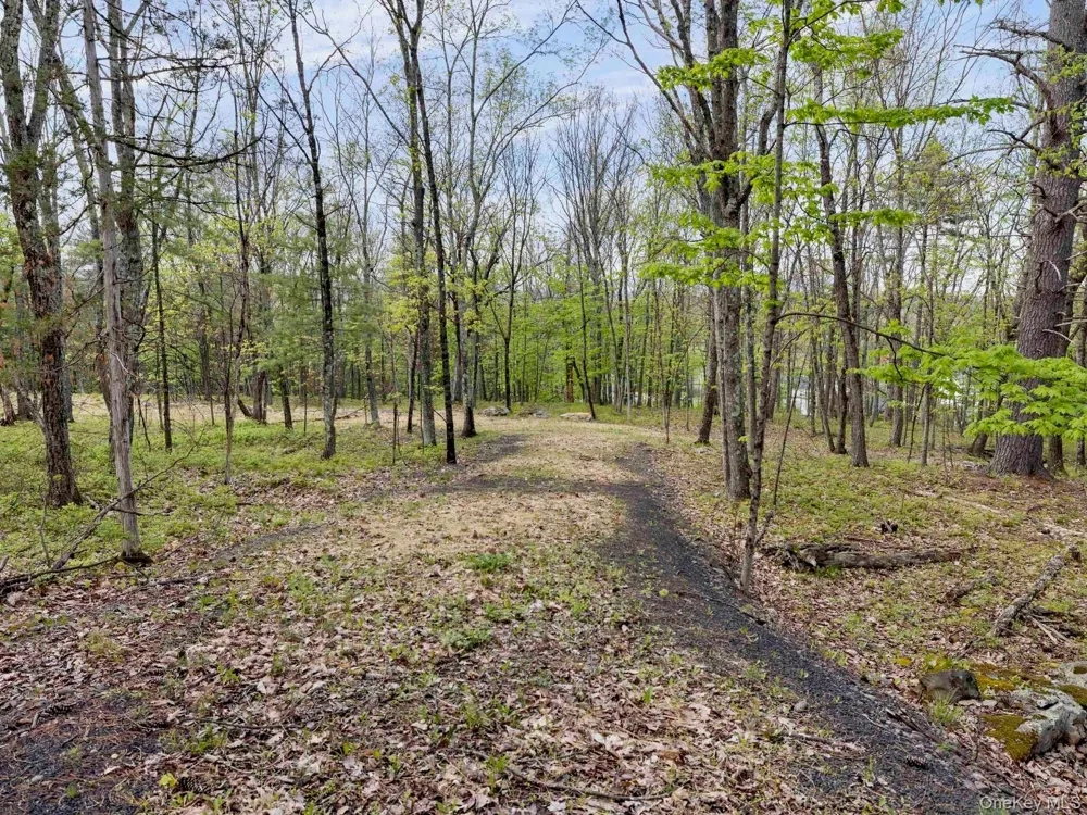 Tbd Route 44/55 Kerhonkson, NY 12446