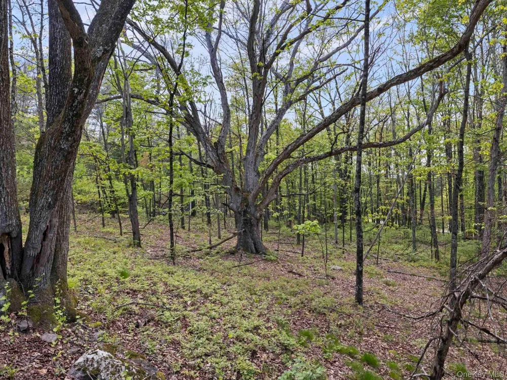 Tbd Route 44/55 Kerhonkson, NY 12446