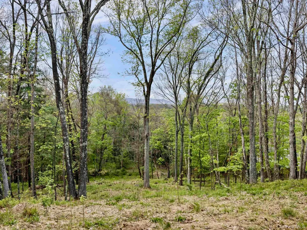Tbd Route 44/55 Kerhonkson, NY 12446