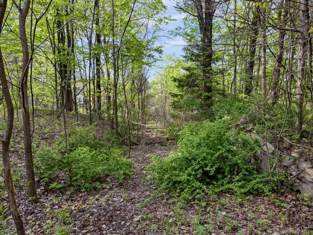 Tbd Route 44/55 Kerhonkson, NY 12446