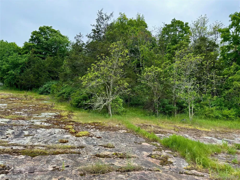 Tbd Route 44/55 Kerhonkson, NY 12446