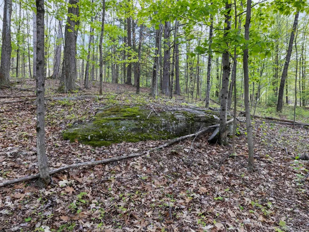 Tbd Route 44/55 Kerhonkson, NY 12446