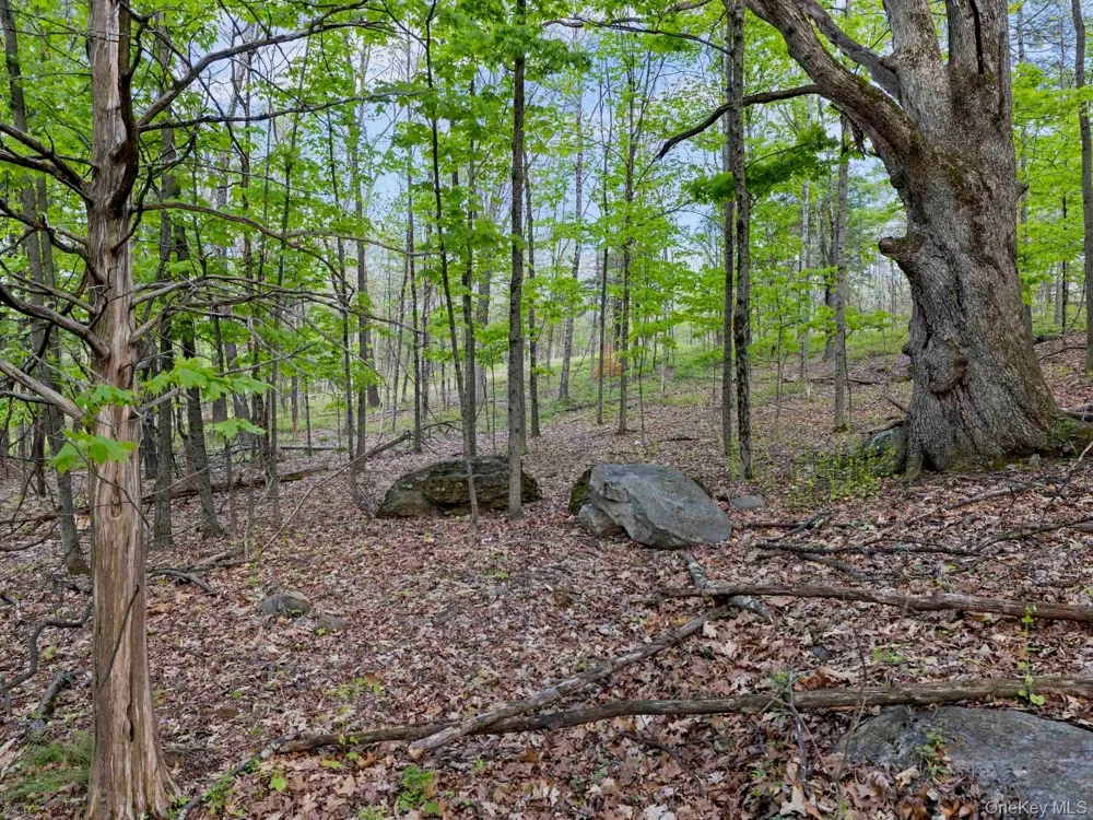 Tbd Route 44/55 Kerhonkson, NY 12446