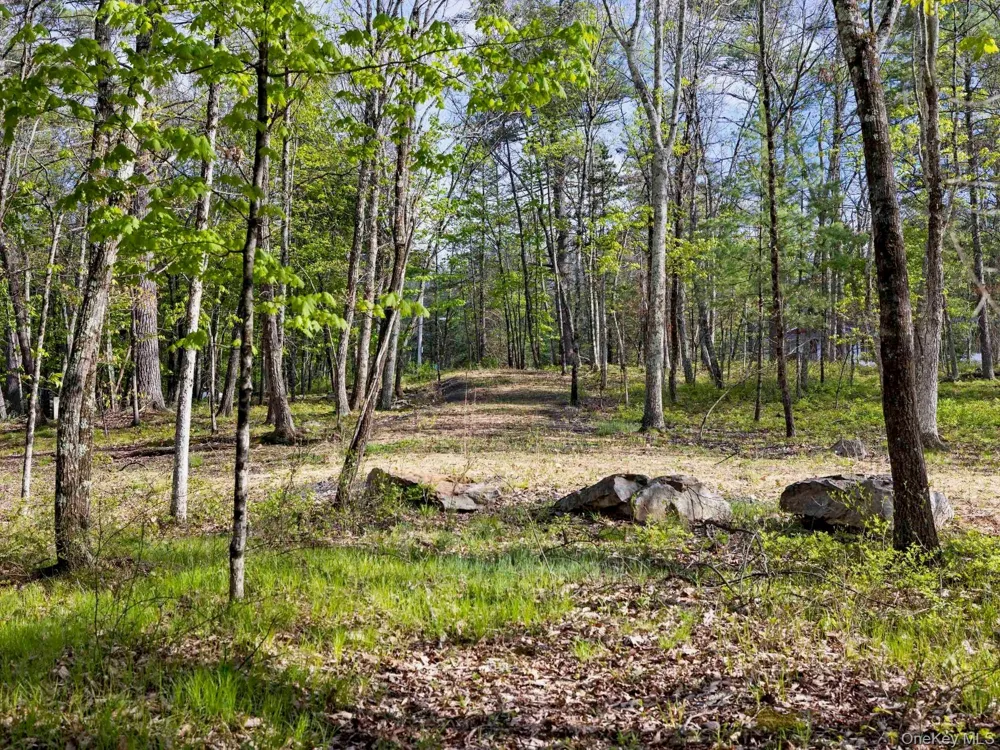 Tbd Route 44/55 Kerhonkson, NY 12446