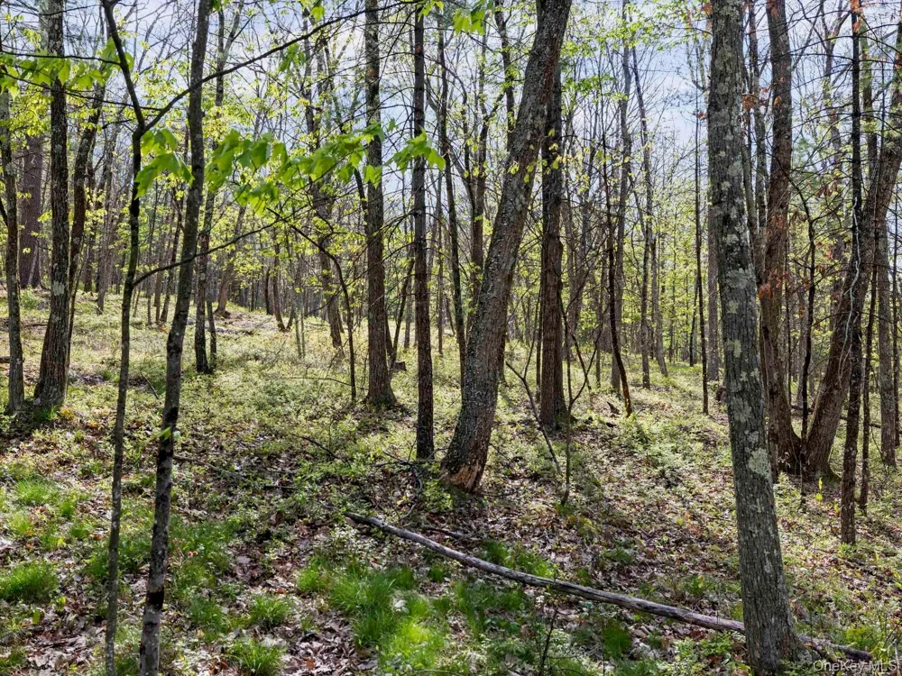 Tbd Route 44/55 Kerhonkson, NY 12446