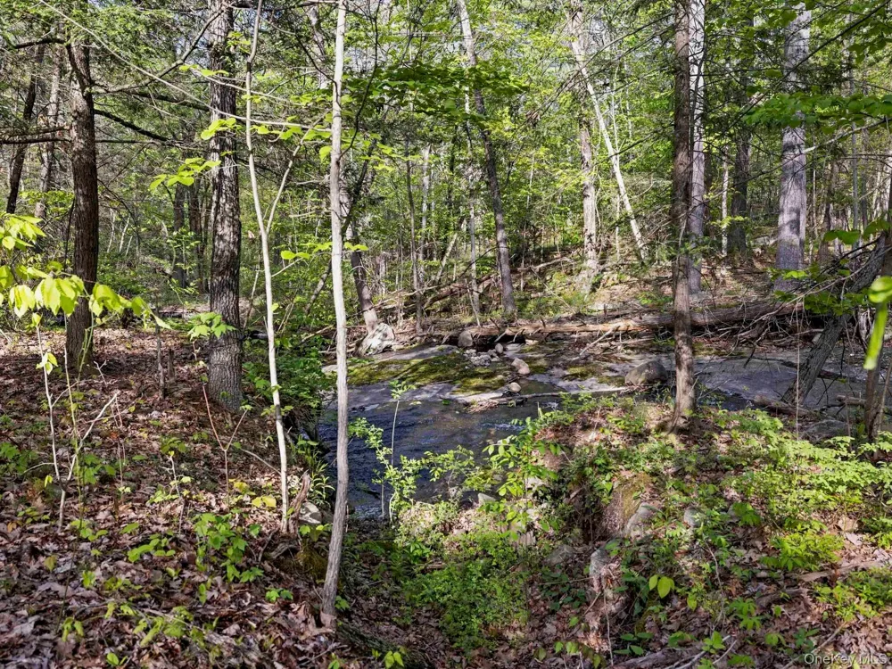 Tbd Route 44/55 Kerhonkson, NY 12446