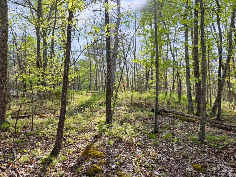Tbd Route 44/55 Kerhonkson, NY 12446